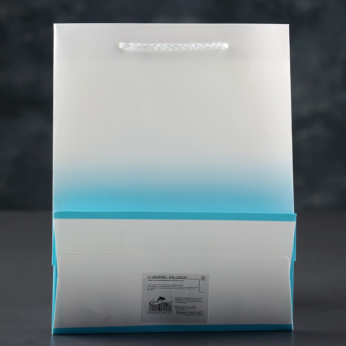 Пакет подарочный, люкс, 18 х 10 х 23 см