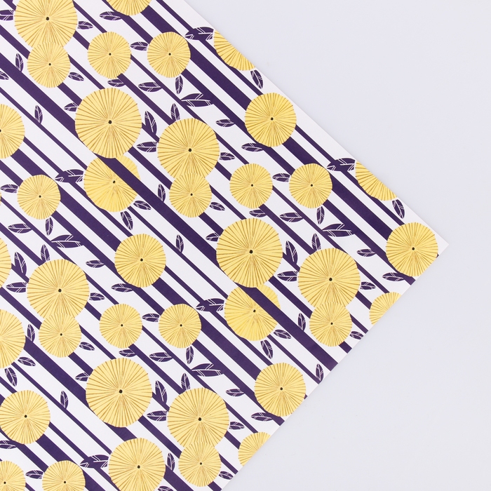 Бумага упаковочная глянцевая "Одуванчики", 70 х 100 см