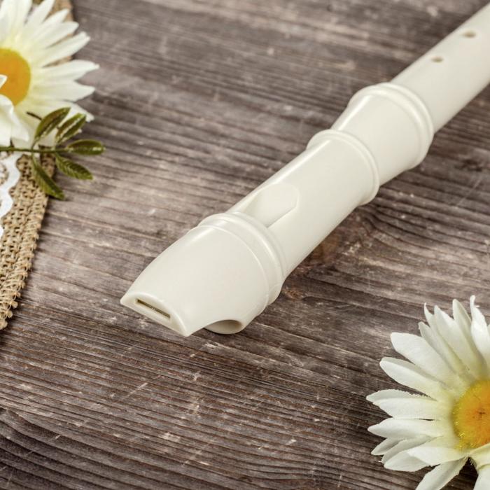 Блокфлейта Swan SW8K-PP