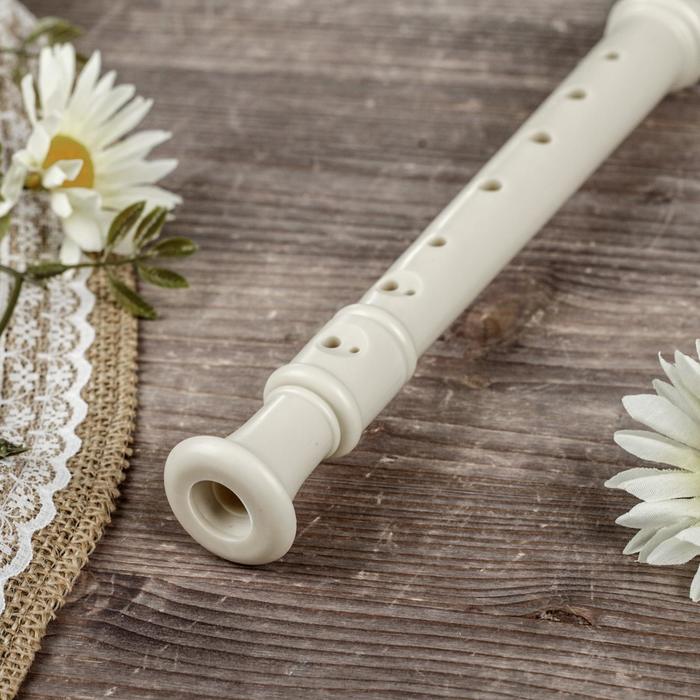 Блокфлейта Swan SW8K-PP