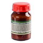 Миниатюра
