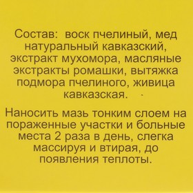 Мазь «Монастырская Живица с Мухомором». Ранозаживляющая. Стекло. 28 мл. от Сима-ленд