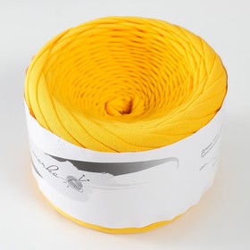 

Пряжа трикотажная широкая 100м/320±30гр, ширина нити 7-8 мм (кукуруза)