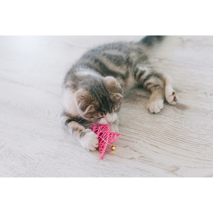 Игрушка для кошек из лозы с бубенчиком "Рыбка", 9 см, микс цветов