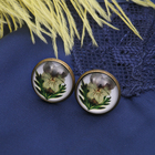 анюта анюта