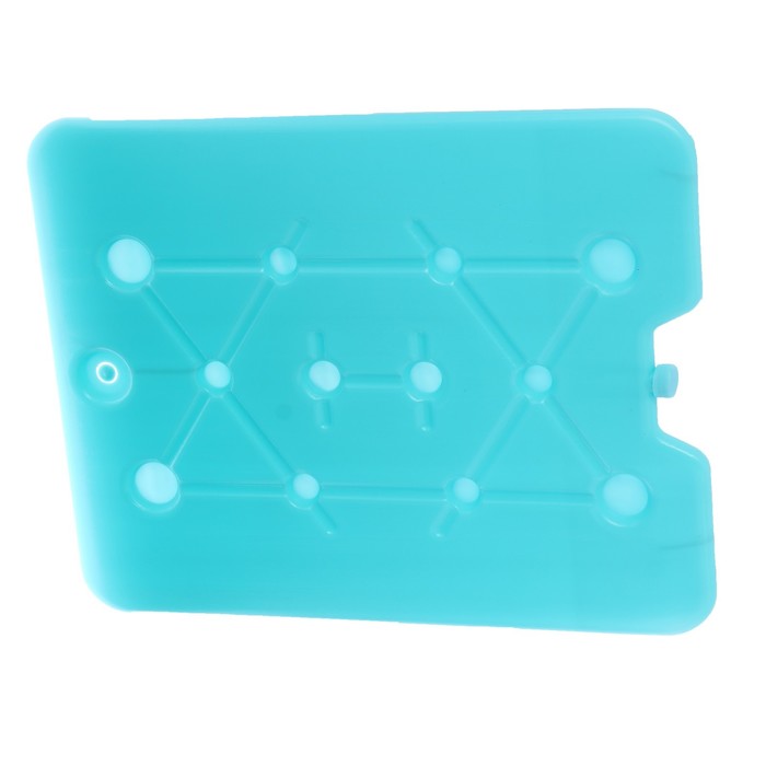 Термосумка с элементом холода "Рыбалка - это не хобби", 16 л