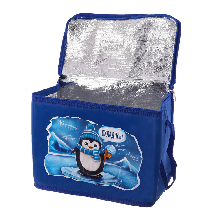 Термосумка с элементом холода "Охладись", 16 л
