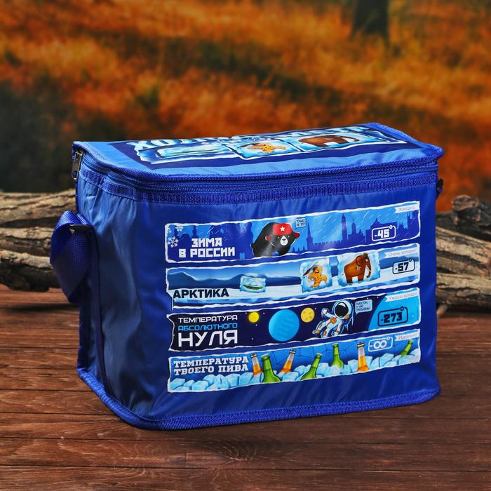 Термосумка с элементом холода "Холодометр", 16 л