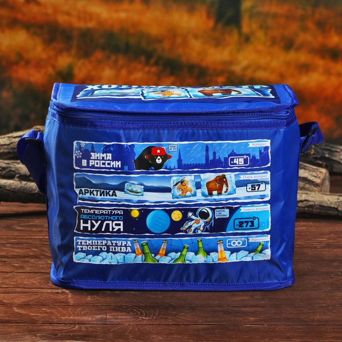 Термосумка с элементом холода "Холодометр", 16 л