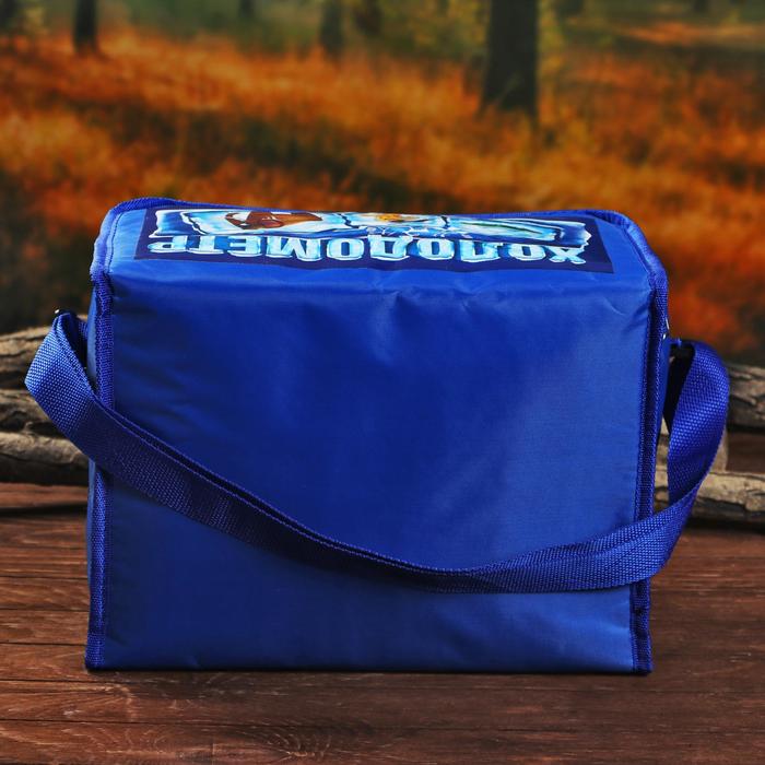 Термосумка с элементом холода "Холодометр", 16 л