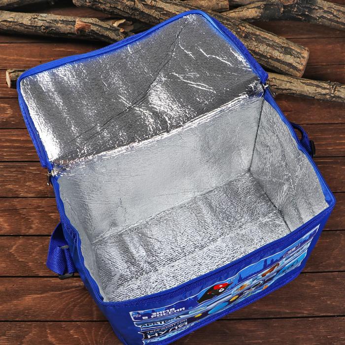 Термосумка с элементом холода "Холодометр", 16 л