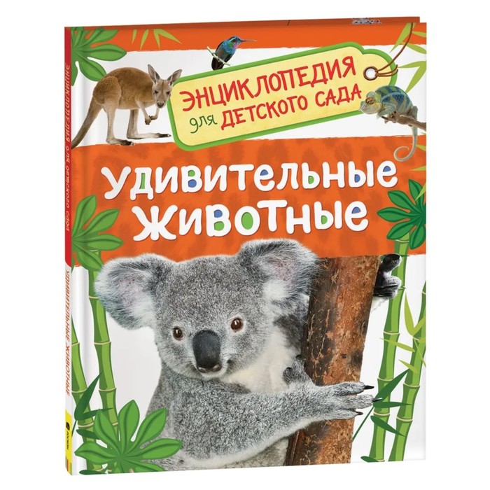 Энциклопедия для детского сада «Удивительные животные» энциклопедия для детского сада транспорт