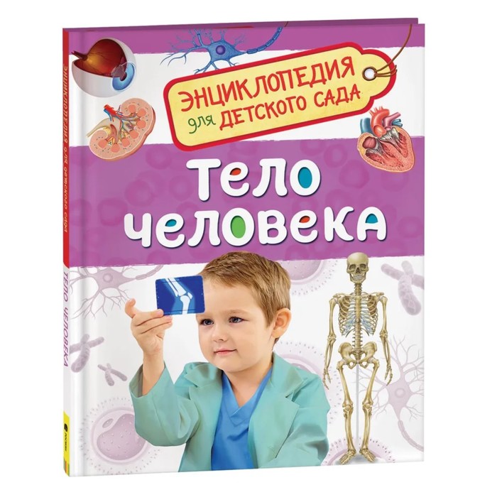 Энциклопедия для детского сада «Тело человека» клюшник л тело человека энциклопедия для детского сада