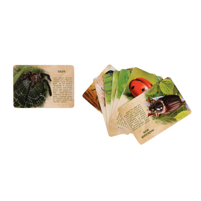 Набор животных с обучающими карточками «В мире насекомых», животные пластик, карточки, по методике Монтессори