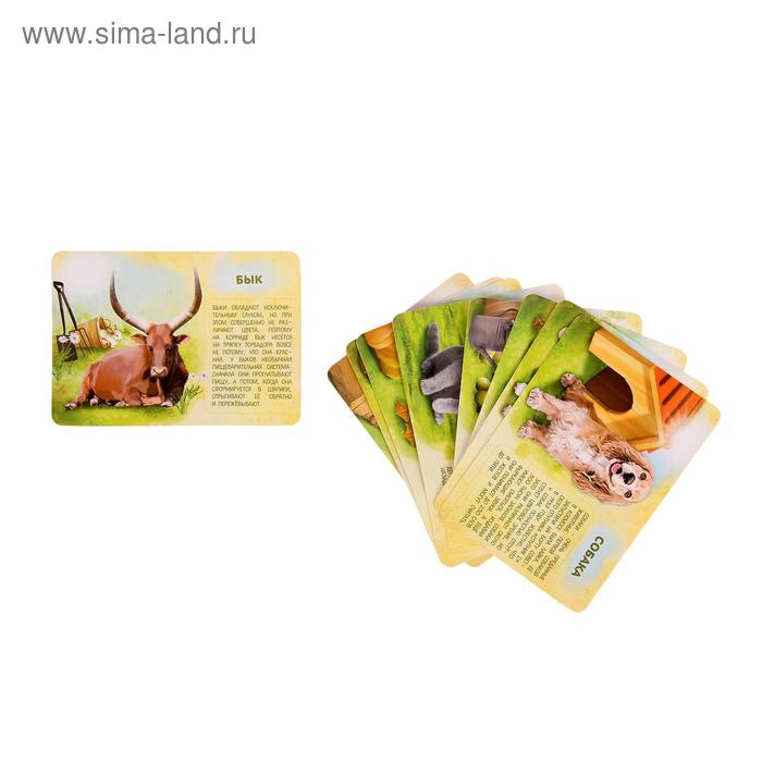 фото Набор животных с обучающими карточками «фермерское хозяйство», животные пластик, карточки, по методике монтессори iq-zabiaka