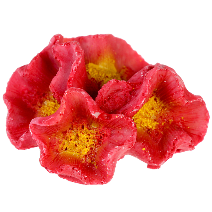 Коралл малый, 5,8 х 5 х 2,2 см