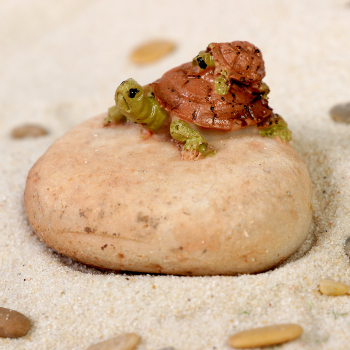 Декор для аквариума "Черепашка на камне", 5 х 4,2 х 2,8 см