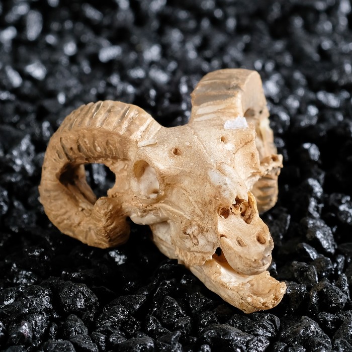 Декор для аквариума "Череп" малый