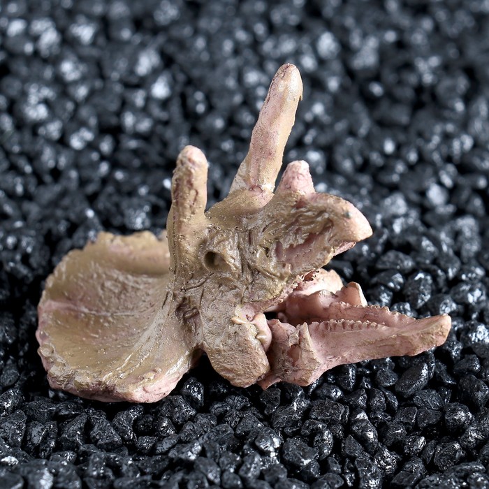 Декор для аквариума "Череп динозавра" малый