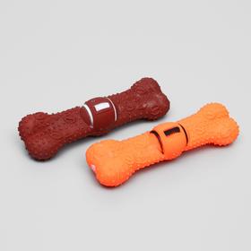 

Игрушка пищащая "Мегакость" для собак, 22,5 см, микс цветов
