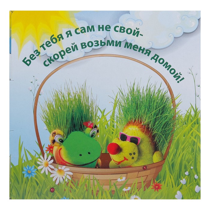 Растущая травка Экоживчик "Дино" подарочная упаковка