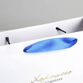 Пакет подарочный ламинированный «Гармонии», 22 × 17.5 × 8 см от Сима-ленд