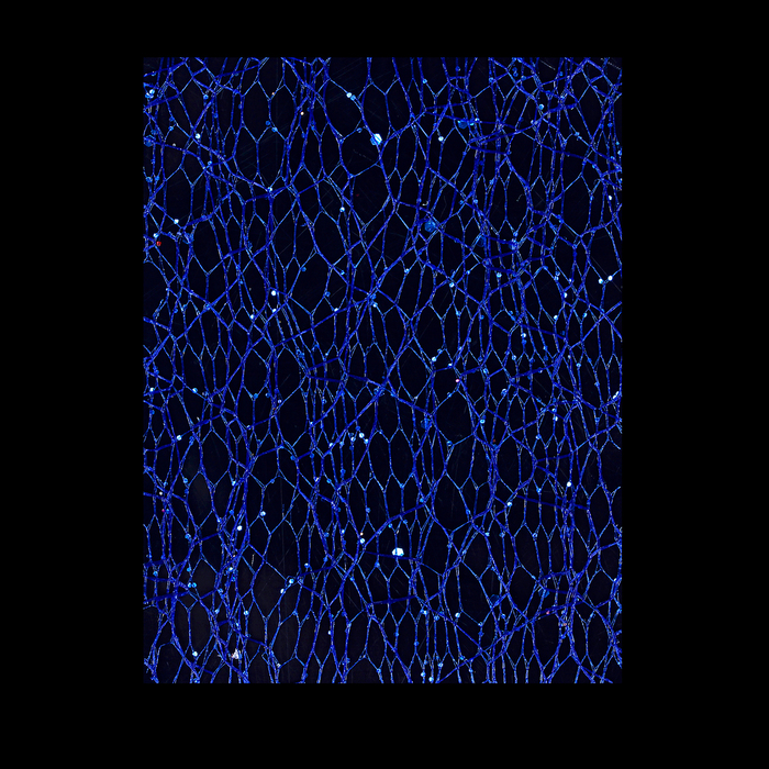 Паутинка с блёстками для декора ногтей, цвет синий