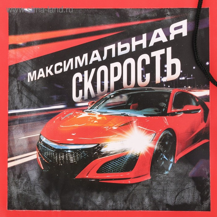 

Сумка для обуви «Максимальная скорость», 33х43х0,5 см
