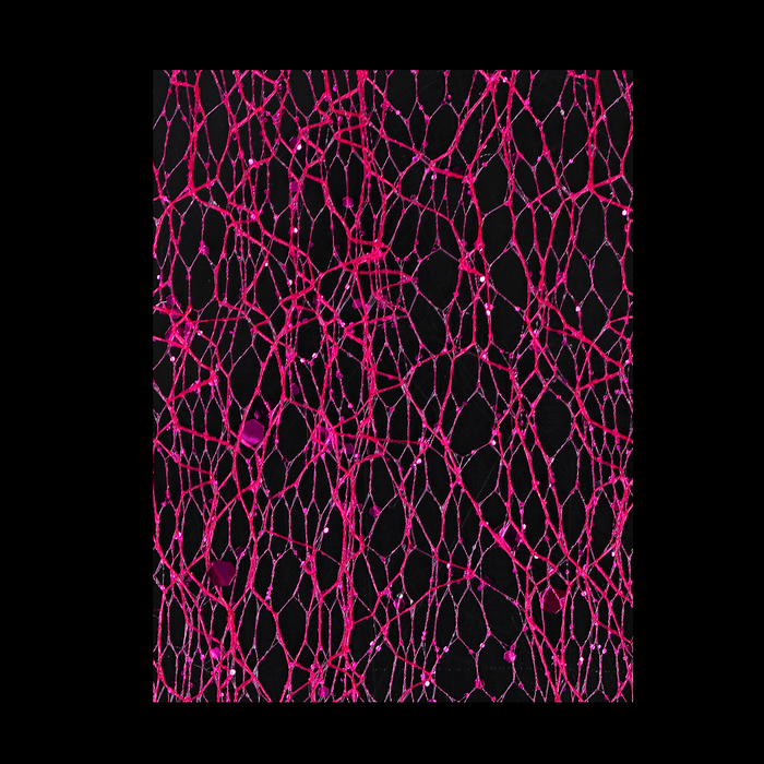 Паутинка с блёстками для декора ногтей, цвет малиновый