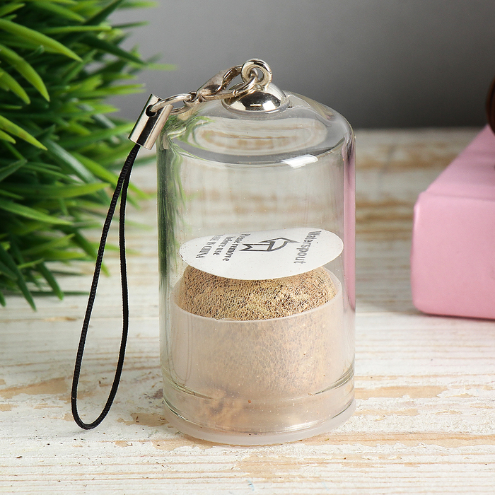 Растущая трава "Бутылочка" 5,7х2,8х2,8 см