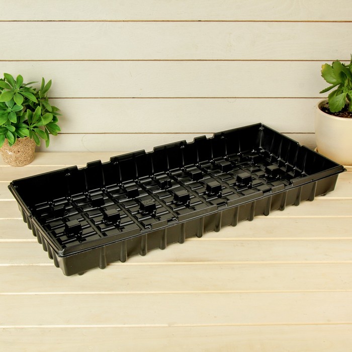 Поддон для рассады, 56 х 25 х 6 см