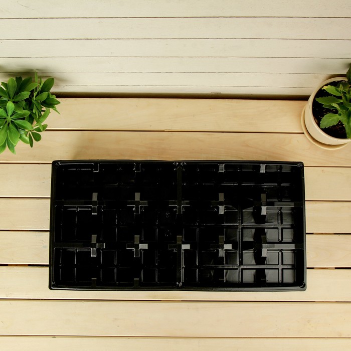 Поддон для рассады, 50 х 25 х 5 см