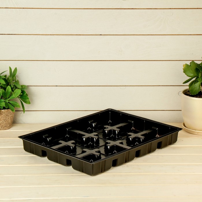 Поддон для рассады, 40 х 28 х 6 см