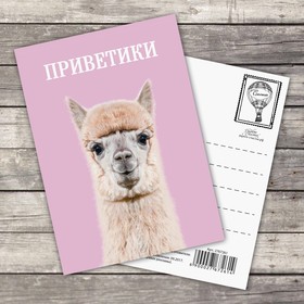 

Открытка на каждый день «Приветики», 10,5 х 7,5 см