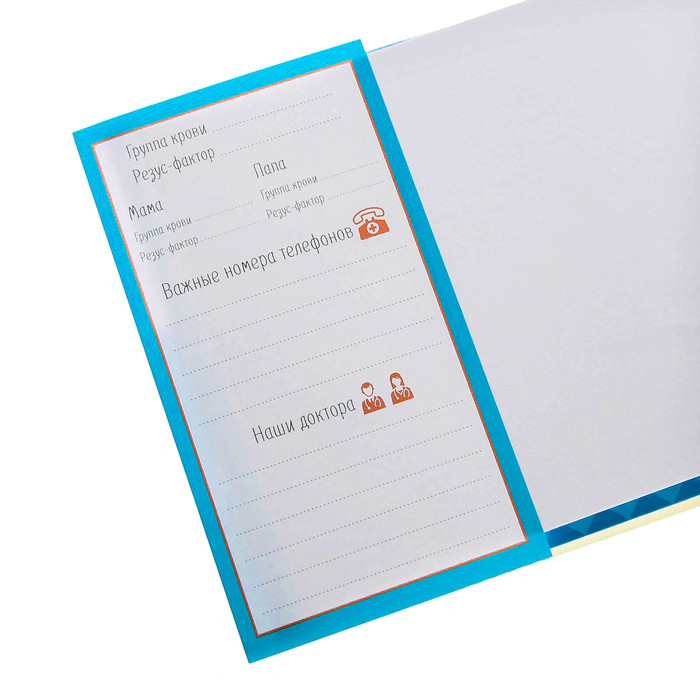 Обложка для медицинской карты "Сова"