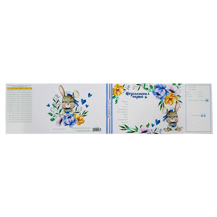 Обложка для медицинской карты "Зайчик"