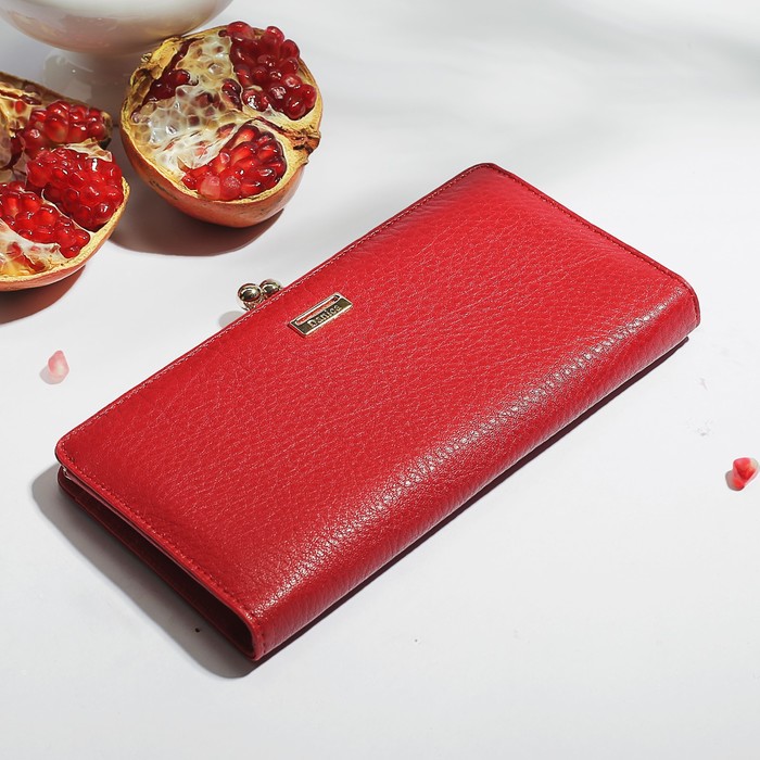 Кошелёк женский на фермуаре, 4 отдела, для карт, монет, цвет красный