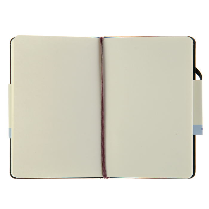 Блокнот для рисования 90х140 мм, 40 листов Moleskine Classic Sketchbook Pocket, картонная обложка, нелинованный блок, чёрный