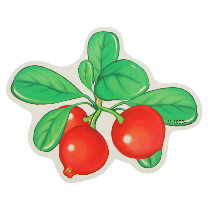 Открытка мини "Шиповник"