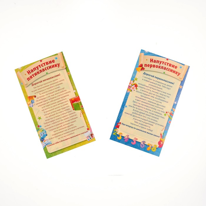 Портфолио "Учащегося начальной школы" 5 листов А4, 2 карточки