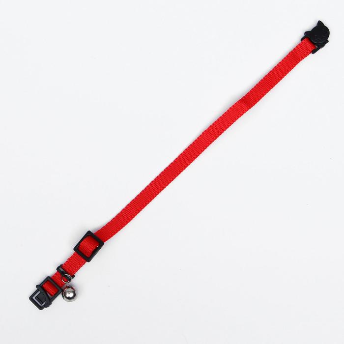 Ошейник кошачий с бубенчиком, 30 х 1 см, полиэстер, микс цветов