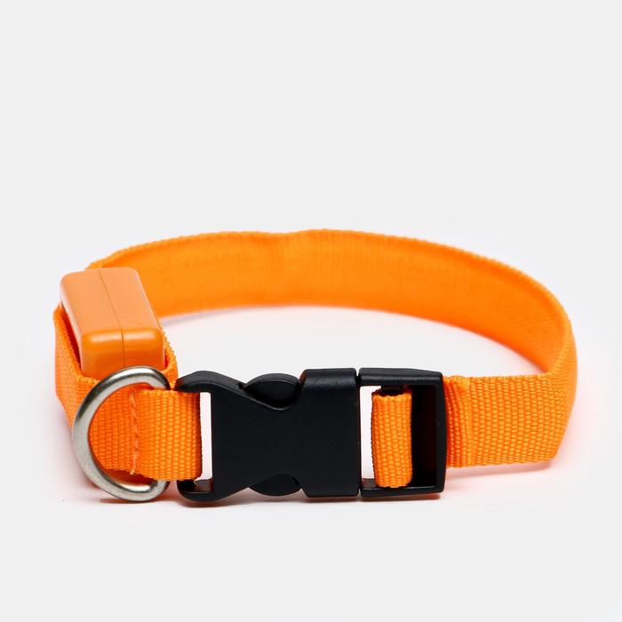 Ошейник светящийся узкий для небольших собак, 22-35 х 1,5 см, оранжевый