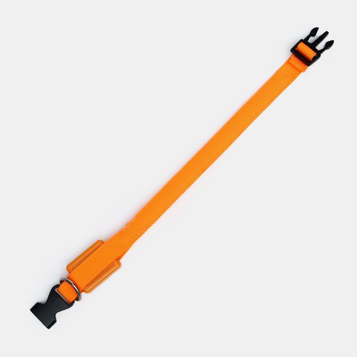 Ошейник светящийся узкий для небольших собак, 22-35 х 1,5 см, оранжевый