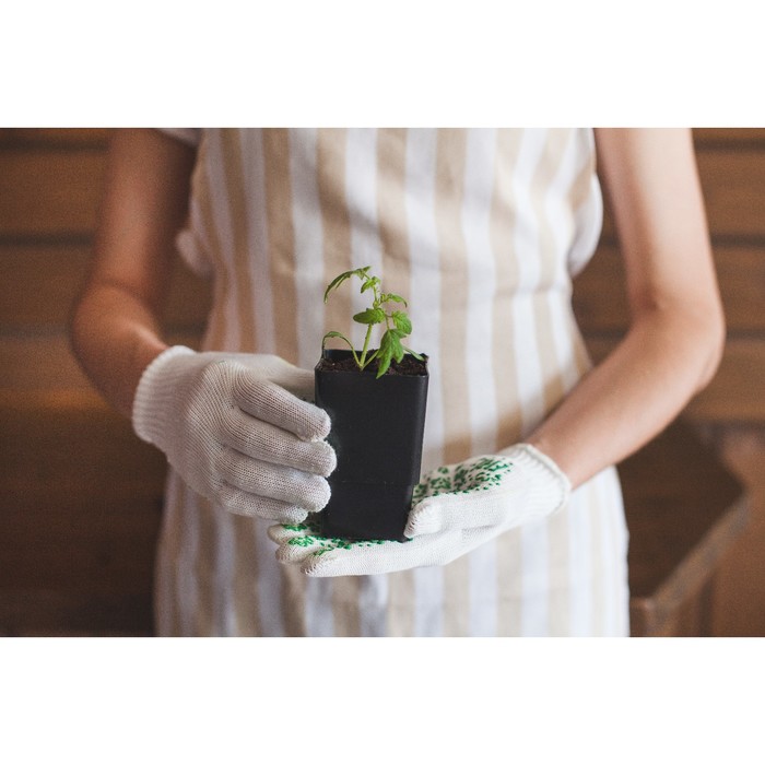 Набор для рассады: стаканы - 8 шт. по 320 мл, чёрный