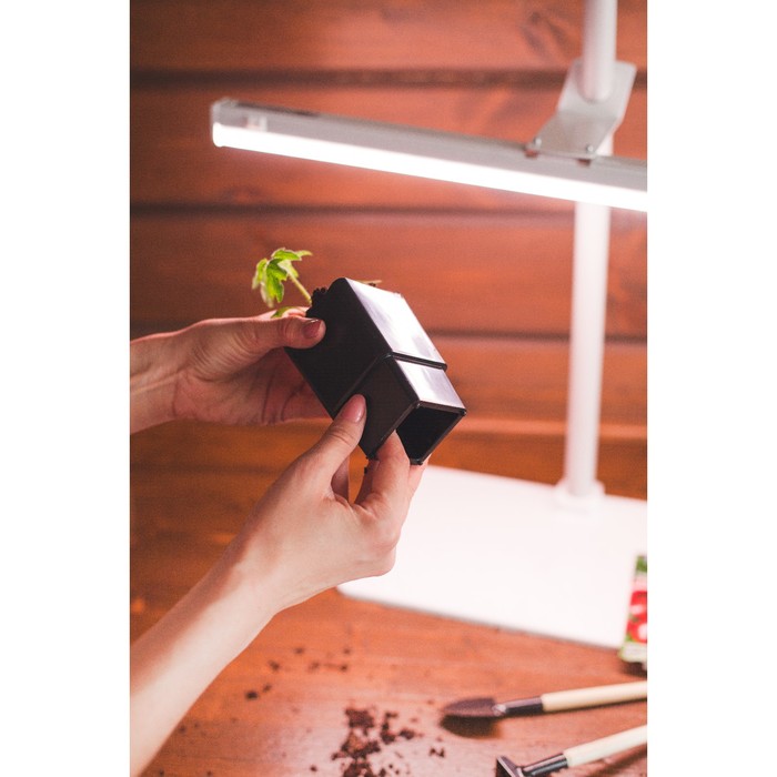 Набор для рассады: стаканы - 8 шт. по 320 мл, чёрный