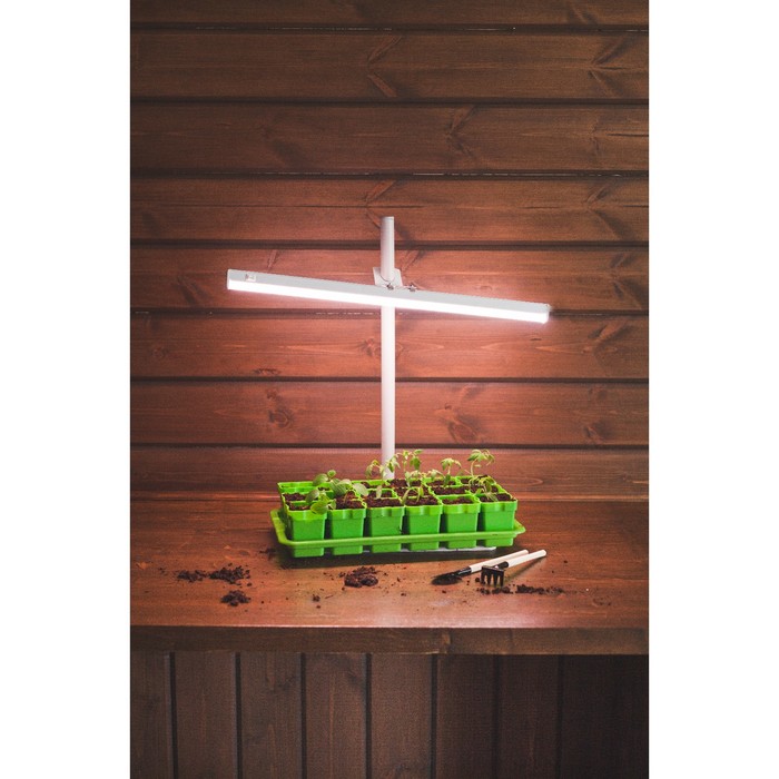 Набор для рассады: стаканы - 18 шт. по 220 мл, поддон 43 х 23 см, салатовый