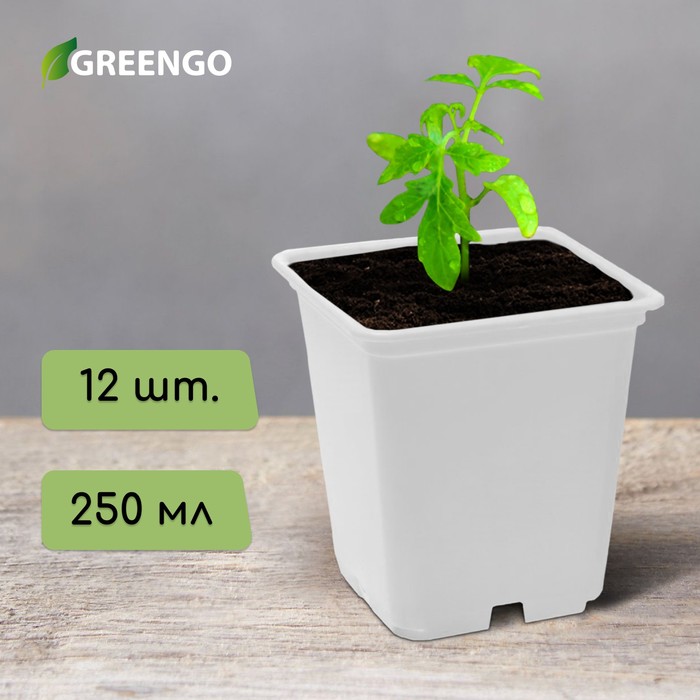 Набор для рассады: стаканы - 10 шт. по 220 мл, салатовый