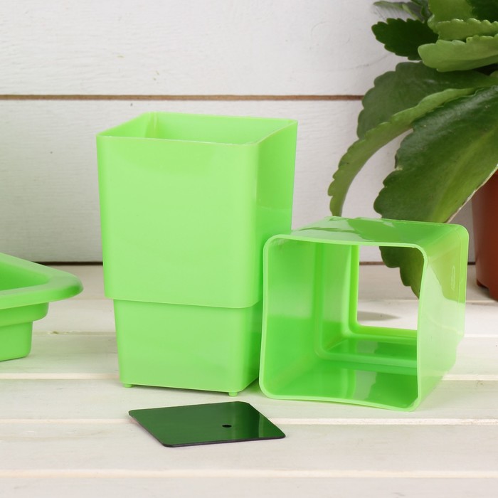 Набор для рассады: стаканы - 18 шт. по 320 мл, поддон 43 х 23 см, салатовый