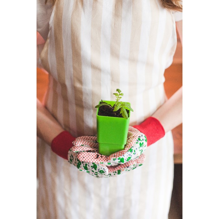 Набор для рассады: стаканы - 8 шт. по 320 мл, салатовый