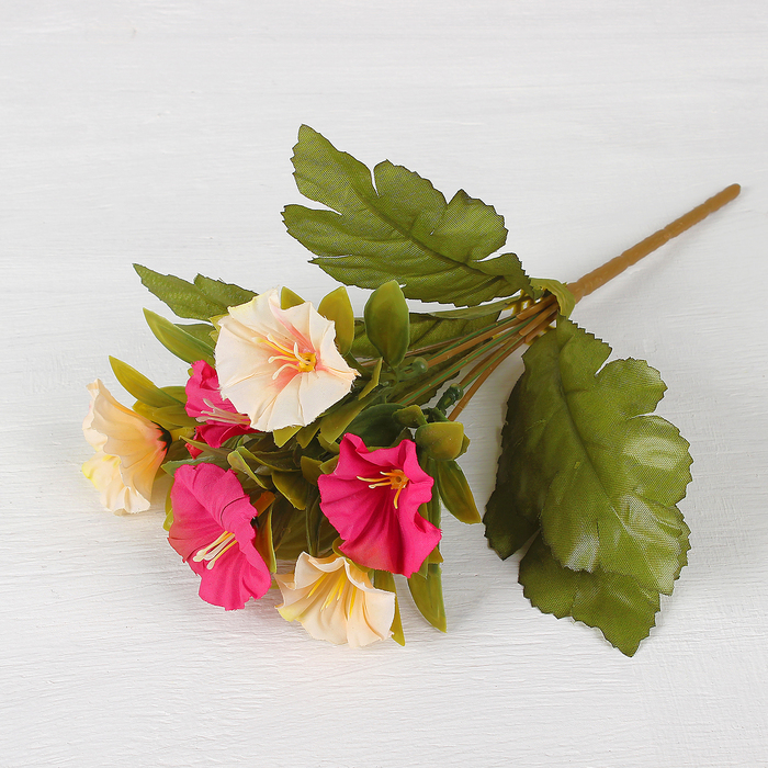 Букет "Колокольчик карпатский" 26 см, микс